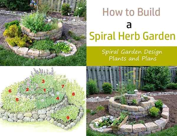 Comment construire un jardin d'herbes en spirale | Conception de jardin en spirale, plantes et plans