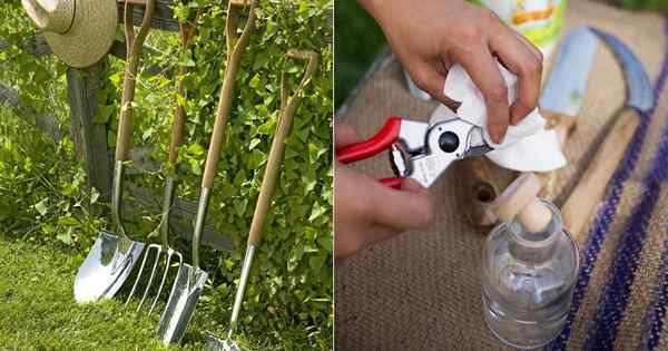 So reinigen Sie Gartenwerkzeuge | Reinigen Sie rostige Gartenwerkzeuge