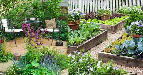 Jak stworzyć wspaniały ogród w małej przestrzeni