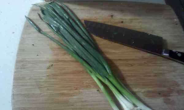 Cara menumbuhkan bawang hijau atau daun bawang
