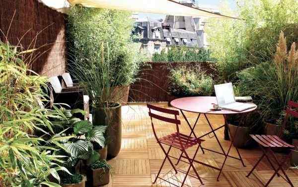So verbessern Sie die Privatsphäre des Dachgartens | Gartenideen auf dem Dach
