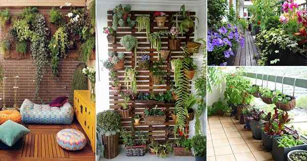 Comment faire un jardin de balcon