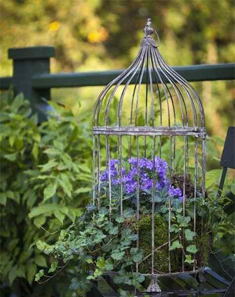 Cara Membuat Penanam Burung | Diy Birdcage Planter