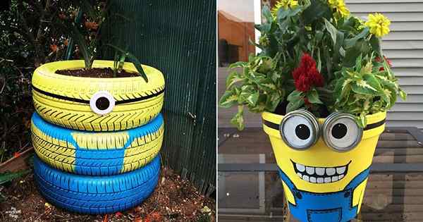 Wie man einen Minion -Pflanzer macht | 6 DIY Minion Pot Ideen