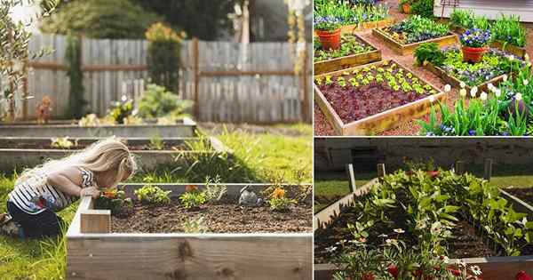 Wie man ein erhöhtes Gartenbett macht | Was sind erhöhte Betten