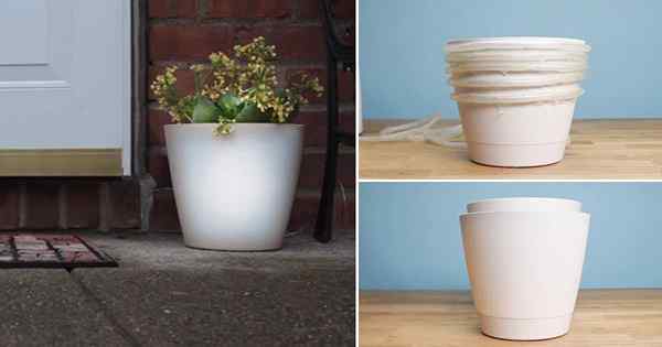 Cara Membuat Planter Illuminated | Panduan DIY Langkah demi Langkah