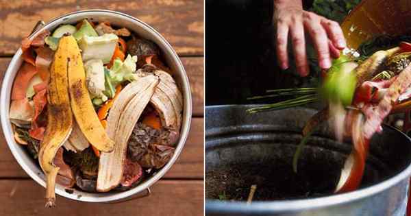 Como começar a compostagem em uma varanda de apartamento