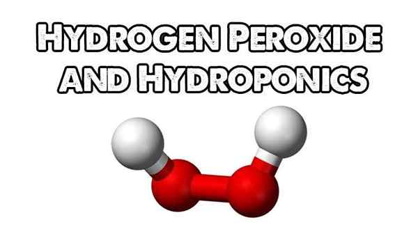 Peroxyde d'hydrogène (H2O2) et hydroponique | Jardinage épique