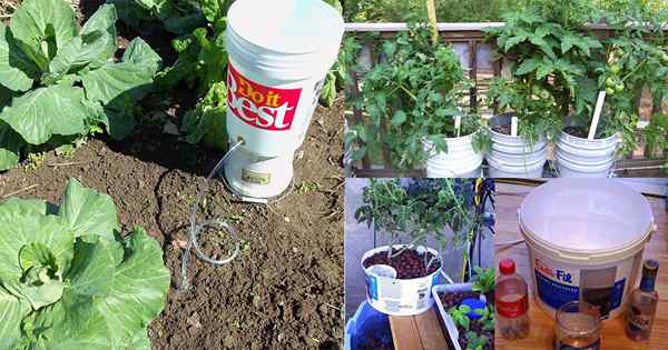 Si tiene algunos cubos, puede usarlos estas 13 maneras en el jardín | Usos de cubo