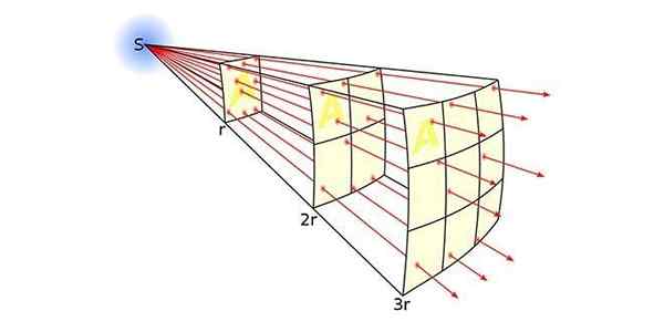 Umgekehrtes quadratisches Gesetz für Licht und Hydrokultur