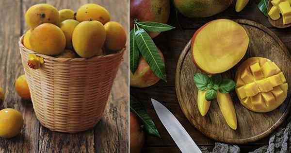 Adalah mangga buah jeruk atau buah batu?