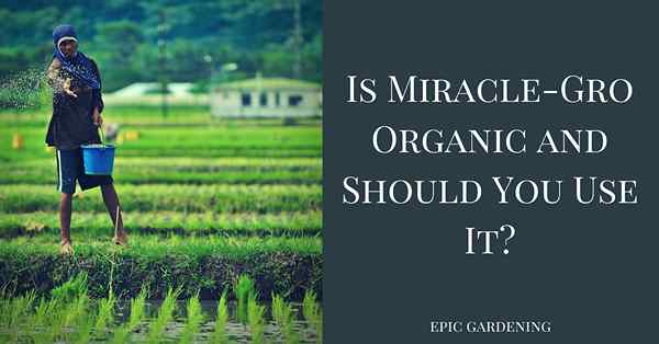 Ist Miracle-Gro organisch? So'ne Art…