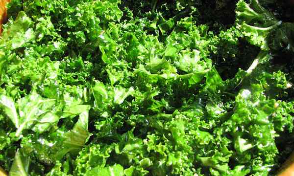 Kale Companion menanam teman untuk sayuran Anda