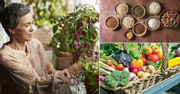 Verrouillage des légumes | Idées de jardin végétal à la maison