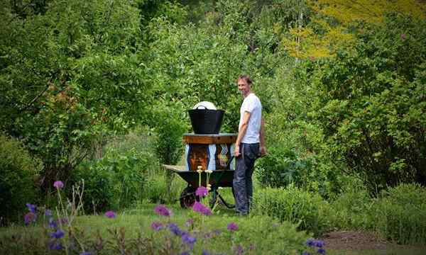 Psychische Gesundheit Vorteile der Gartenarbeit der Heilung der Natur