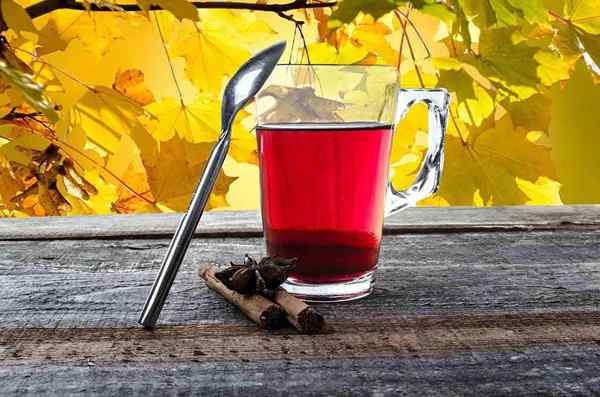 Moringa -Tee und seine Vorteile
