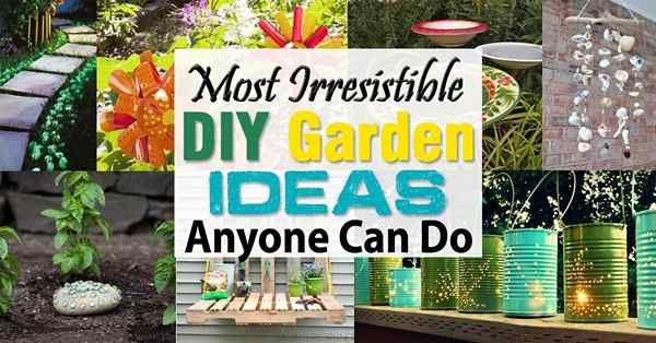 Ideas de jardín de bricolaje más irresistibles que cualquiera puede hacer