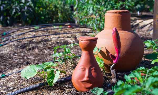 Ollas regar su jardín con tecnología antigua