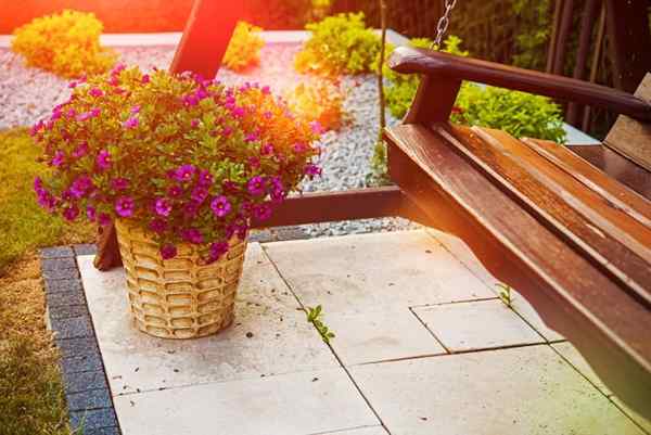 Un conseil génial pour vous apprendre à faire fleurir les fleurs