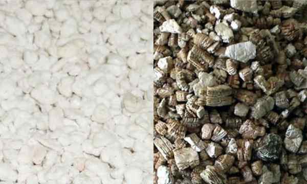 Perlite vs vermiculite quelle est la différence?