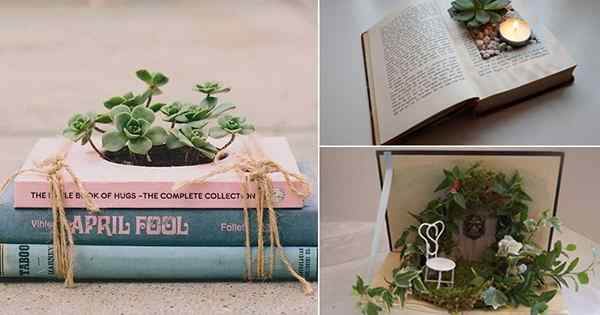 Planta en un libro | 11 ideas de plantador de libros de bricolaje