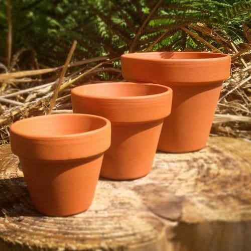 Tamanhos de vasos de planta polegadas para galão