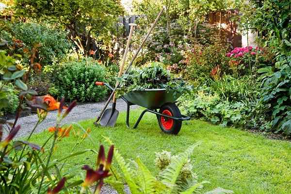 Preparando su jardín para la primavera | Preparación del jardín para la plantación de primavera