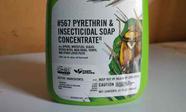 Pyrethrin menyemprot pestisida organik dengan sejarah