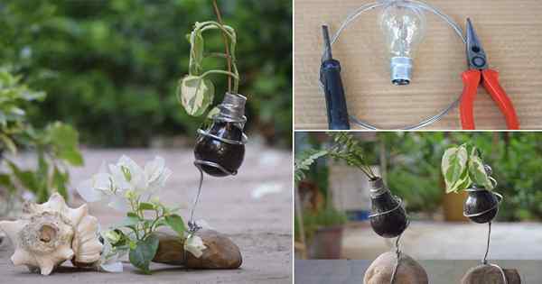 Recicla una bombilla vieja en esta plantadora de bombillas de bricolaje!