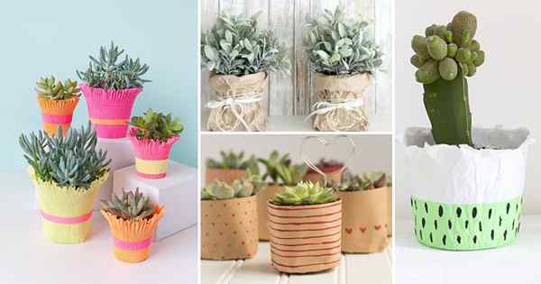 Recycler les papiers en 14 pots de plantes en papier bricolage