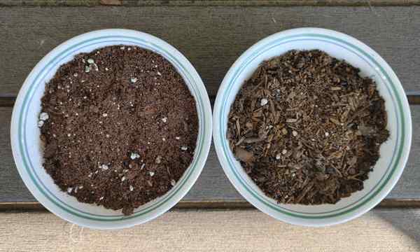 Mix de partida de semente vs envasamento solo que usar