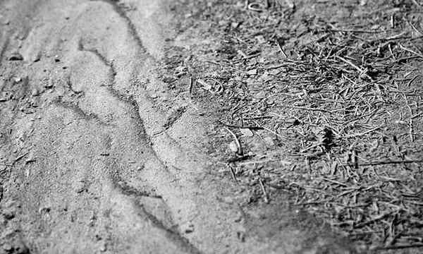 Cadangan tanah silty meminda & meningkatkan lumpur