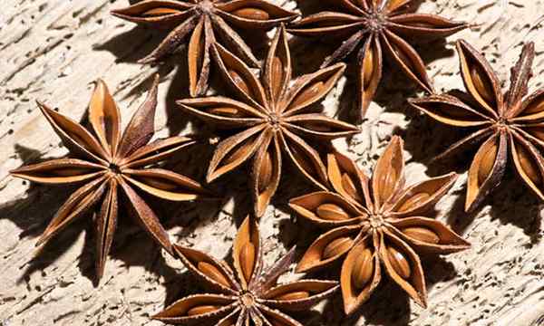 Étoiles anis planes d'épices étoilées subtropicales