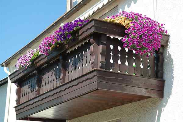 Comenzar un jardín de balcón