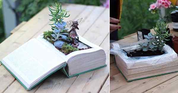 Plantador de libros de bricolaje paso a paso