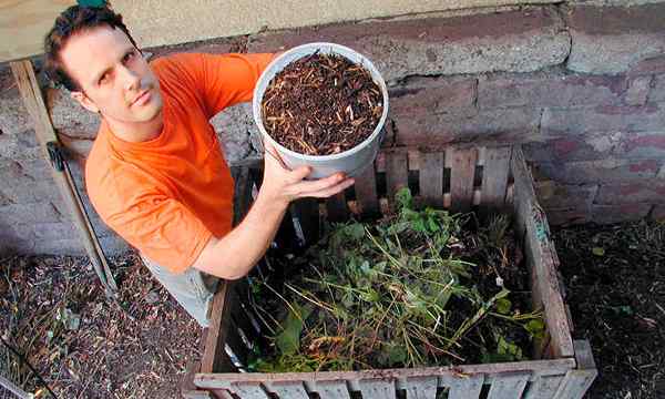 Los 12 mejores contenedores de compost de encimera para comprar