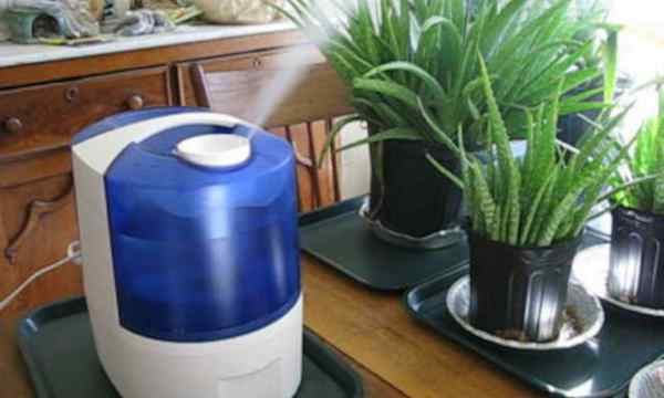 7 humidifier tanaman terbaik untuk tanaman dalam ruangan Anda