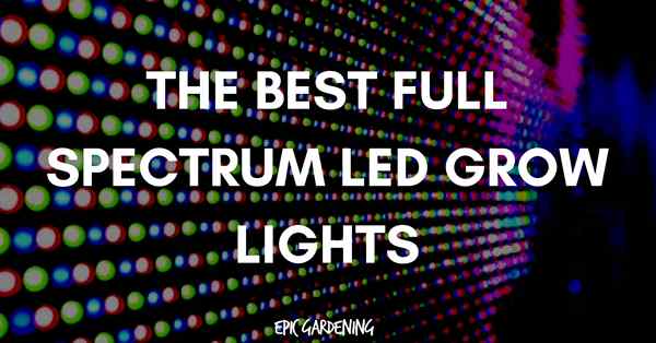 Las mejores luces de cultivo LED de espectro completo