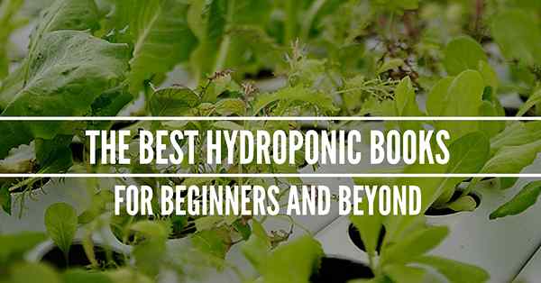 Les meilleurs livres hydroponiques pour les débutants et au-delà