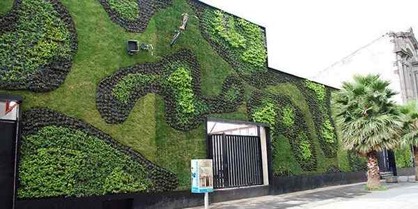 Dinding hidup yang menakjubkan ini membuat kita hijau dengan iri hati