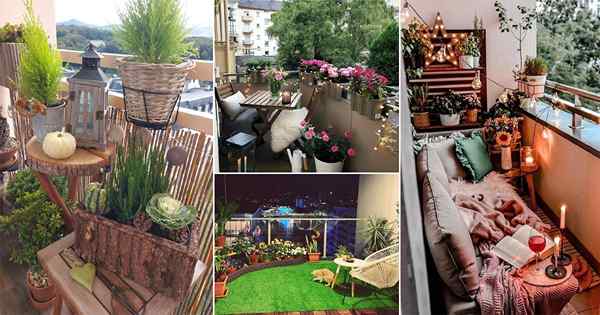 Top 15 jardins de balcon d'octobre 2020 sur Instagram