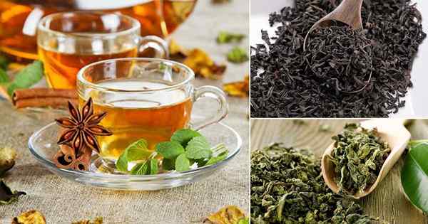 Tipos de hojas de té | Variedades de hojas de té