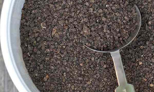 Używanie nietoperza guano (gnojka nietoperza) w ogrodzie