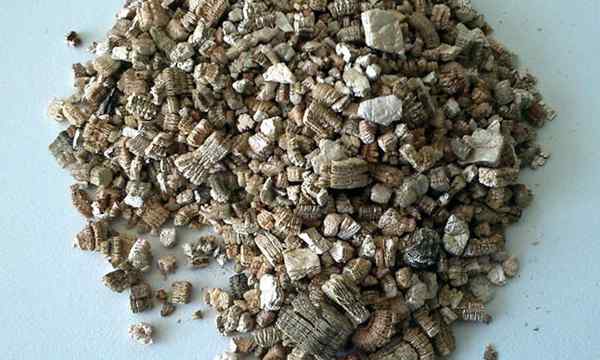 Mineral de retenção de umidade da vermiculita