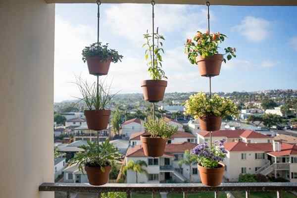 Idées de jardin de balcon vertical