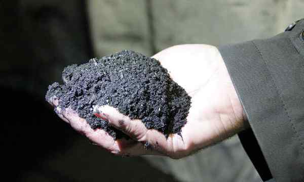 O que é biochar? Carvão em jardinagem