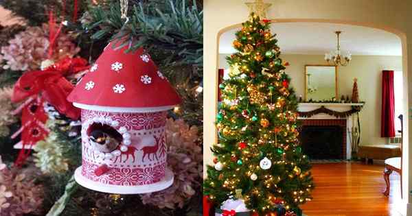 Was tun mit toter Weihnachtsbaum? 9 Ideen