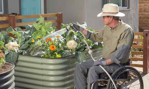 Wskazówki dotyczące ogrodnictwa wózków inwalidzkich działają podczas siedzenia