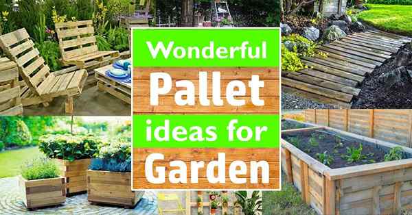 De merveilleuses idées de palettes pour le jardin