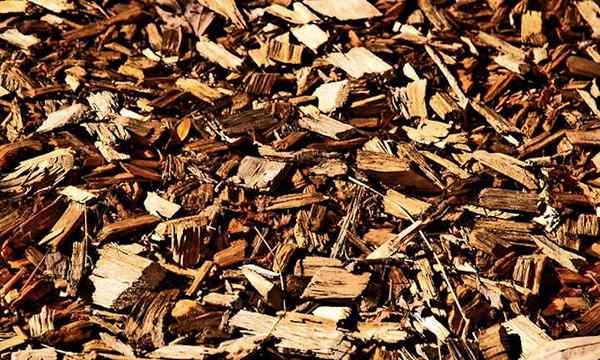 Palhas de lascas de madeira tudo o que você deveria saber
